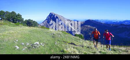 Frankreich, Isere (38) Naturpark von Chartreuse, auf die Spitze des Berges genannt La Sure Stockfoto