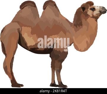 Realistische Darstellung des Kamelsymbols auf weißem Hintergrund. Stock Vektor