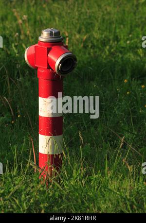 Roter Hydrant im Freien auf Rasen Stockfoto