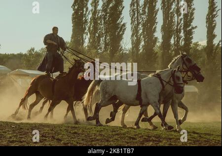 Ungarischer Reiter reitet fünf Pferde. Er trägt die traditionelle ungarische Nationaltracht für die Pferdeshow, SALFÖLD, UNGARN - 10. AUGUST 2005. Stockfoto