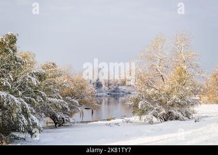 Marschsee im Winter mit Schnee bedeckt. Winterlandschaft eines sumpfigen Sees mit Schnee und Eis bedeckt. Stockfoto