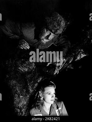 Lon Chaney Jr. & Evelyn Ankers Film: The Wolf Man (1941) Charaktere: The Wolf Man, Gwen Conliffe Regie: George Waggner 12 December 1941 **WARNUNG** Dieses Foto ist nur für redaktionelle Zwecke bestimmt und unterliegt dem Copyright von UNIVERSAL und/oder dem Fotografen, der von der Film- oder Produktionsfirma beauftragt wurde und darf nur von Publikationen im Zusammenhang mit der Bewerbung des oben genannten Films reproduziert werden. Eine obligatorische Gutschrift an UNIVERSAL ist erforderlich. Der Fotograf sollte auch bei Bekanntwerden des Fotos gutgeschrieben werden. Ohne schriftliche Genehmigung der Film Company kann keine kommerzielle Nutzung gewährt werden. Stockfoto