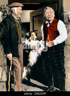 Edmund Gwenn, Lassie & Donald Crisp Film Master of Lassie, Hills of Home (1949) Charaktere: Dr. William MacLure,Lassie & Drumsheugh 01. April 1948 **WARNUNG** dieses Foto ist nur für redaktionelle Zwecke bestimmt und unterliegt dem Copyright der Film Company und/oder des von der Film or Production Company beauftragten Fotografen und kann nur durch Veröffentlichungen in Verbindung mit der Werbung für den oben genannten Film reproduziert werden. Es ist eine obligatorische Gutschrift an die Filmgesellschaft erforderlich. Der Fotograf sollte ebenfalls angerechnet werden, wenn er bekannt ist. Ohne schriftliche Genehmigung der Film Company kann keine kommerzielle Nutzung gewährt werden. Stockfoto