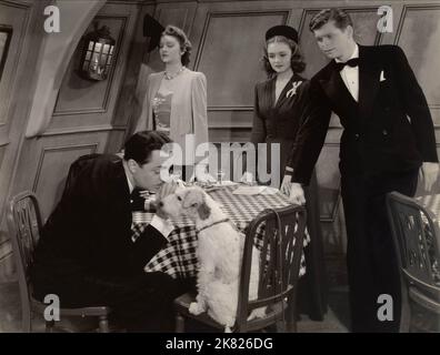 William Powell, Myrna Loy, Donna Reed, Barry Nelson Film: Shadow of the Thin man (USA 1941) Charaktere: Nick,Nora,Molly - Stephens' Rezeptionist,Paul Clarke - Reporter Regie: W.S. Van Dyke 01 November 1941 **WARNUNG** Dieses Foto ist nur für redaktionelle Zwecke bestimmt und unterliegt dem Copyright von MGM und/oder dem von der Film- oder Produktionsfirma beauftragten Fotografen und kann nur durch Publikationen im Zusammenhang mit der Bewerbung des oben genannten Films reproduziert werden. Eine obligatorische Gutschrift an MGM ist erforderlich. Der Fotograf sollte auch bei Bekanntwerden des Fotos gutgeschrieben werden. Ohne schriftliche Genehmigung kann keine kommerzielle Nutzung gewährt werden Stockfoto