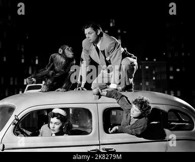 Maureen O'Sullivan, Johnny Weissmuller & Johnny Sheffield Film: Tarzan'S New York Adventure (USA 1942) Charaktere: ,Tarzan & Boy Regie: Richard Thorpe 01 May 1942 **WARNUNG** Dieses Foto ist nur für redaktionelle Zwecke bestimmt und unterliegt dem Copyright von MGM und/oder dem Fotografen, der von der Film- oder Produktionsfirma beauftragt wurde, und kann nur durch Publikationen im Zusammenhang mit der Bewerbung des oben genannten Films reproduziert werden. Eine obligatorische Gutschrift an MGM ist erforderlich. Der Fotograf sollte auch bei Bekanntwerden des Fotos gutgeschrieben werden. Ohne schriftliche Genehmigung der Film Company kann keine kommerzielle Nutzung gewährt werden. Stockfoto