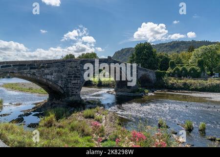 Llanrwst, Vereinigtes Königreich - 27. August 2022: Die historische Pont-Fawr-Brücke und efeubedecktes Haus am River Conwy in Nordwales Stockfoto