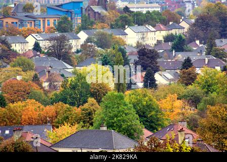 Glasgow, Schottland, Großbritannien 20.. Oktober 2022. UK Wetter: Volle Herbstfarbe, wie sie heute ihren Höhepunkt unter der Wolke und dem Regen über dem reich belaubten westlichen Ende der Stadt krittsholz Vorort erreichte. Credit Gerard Ferry/Alamy Live News Stockfoto