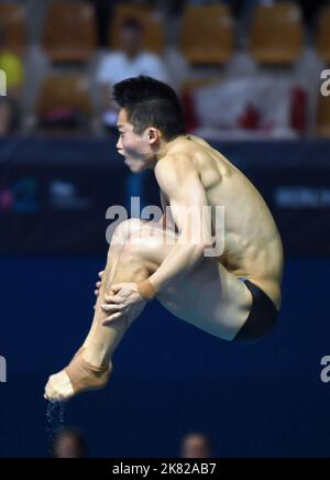 Berlin, Deutschland. 20. Oktober 2022. Wang Zongyuan aus China tritt während der Männer-Springboard-Vorrunde 3m beim FINA Diving World Cup in Berlin, Deutschland, am 20. Oktober 2022, an. Quelle: Ren Pengfei/Xinhua/Alamy Live News Stockfoto