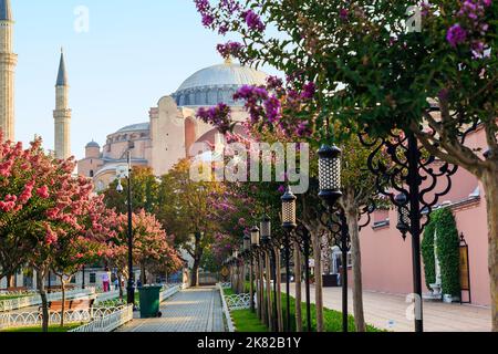 ISTANBUL, TÜRKEI - 11. SEPTEMBER 2017: Blick auf die Hagia Sophia vom Sultanahmet Park am frühen Herbstmorgen. Stockfoto