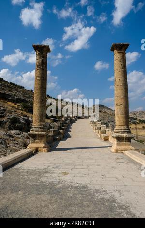 Die Severan-Brücke (auch bekannt als Chabinas-Brücke oder Cendere-Brücke oder Septimius-Severus-Brücke; türkisch: Cendere Köprüsü) ist eine spätrömische Brückenloka Stockfoto