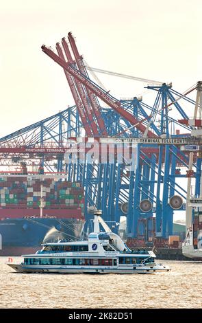 Hamburg, Deutschland. 20. Oktober 2022. Ein Hafenkreuzfahrtschiff passiert die Krane und Containerschiffe im Hamburger Hafen am Tollerort-Terminal der HHLA. Quelle: Georg Wendt/dpa/Alamy Live News Stockfoto