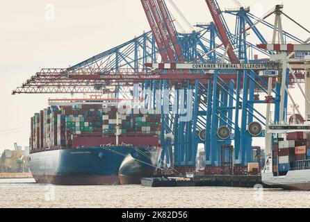 Hamburg, Deutschland. 20. Oktober 2022. Blick auf die Krane und ein Containerschiff im Hamburger Hafen am Tollerort-Terminal der HHLA. Quelle: Georg Wendt/dpa/Alamy Live News Stockfoto