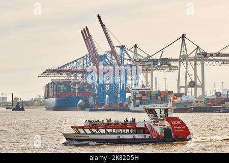 Hamburg, Deutschland. 20. Oktober 2022. Ein Passagierschiff passiert die Krane und Containerschiffe im Hamburger Hafen am Tollerort-Terminal der HHLA. Quelle: Georg Wendt/dpa/Alamy Live News Stockfoto