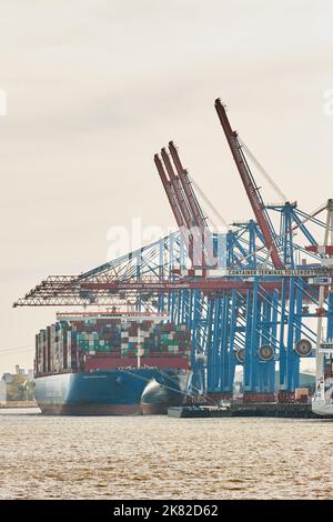 Hamburg, Deutschland. 20. Oktober 2022. Blick auf die Krane und ein Containerschiff im Hamburger Hafen am Tollerort-Terminal der HHLA. Quelle: Georg Wendt/dpa/Alamy Live News Stockfoto