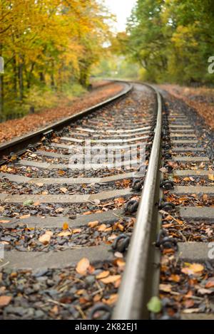 Niedrige Perspektive/Winkelansicht einer britischen Standardspurbahn mit der Strecke, die durch die ländliche Landschaft Großbritanniens voller Herbstlaub führt. Stockfoto