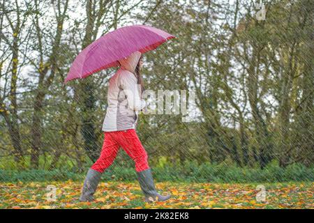 Seitenansicht einer Frau, die rote Hosen und grüne Gummistiefel trägt und einen Regenschirm hält, der im strömenden Regen durch Herbstblätter im Freien läuft. Stockfoto