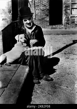 Charlie Chaplin Film: A Dog'S Life (Kurzfilm) USA 1918, / Kurzfilmregisseur: Charles Chaplin 31 March 1918 **WARNUNG** Dieses Foto ist nur für den redaktionellen Gebrauch bestimmt und unterliegt dem Copyright der ERSTEN NATIONALEN BILDER und/oder des Fotografen, die von der Film- oder Produktionsfirma beauftragt wurden, und kann nur von Publikationen im Zusammenhang mit der Bewerbung des oben genannten Films reproduziert werden. Für DIE ERSTEN NATIONALEN BILDER ist eine obligatorische Gutschrift erforderlich. Der Fotograf sollte auch bei Bekanntwerden des Fotos gutgeschrieben werden. Ohne schriftliche Genehmigung der Film Company kann keine kommerzielle Nutzung gewährt werden. Stockfoto