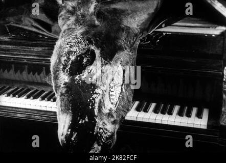 Dead Donkey On Piano Film: An Andalusian Dog; Un Chien Andalou (Kurzfilm) Fr 1929, / Titel Auch: 'Der Andalusische Hund' Regie: Luis Bunuel 06 June 1929 **WARNUNG** Dieses Foto ist nur für redaktionelle Zwecke bestimmt und unterliegt dem Copyright der FILME SANS Frontières und/oder des Fotografen, die von der Film- oder Produktionsfirma beauftragt wurden.Es kann nur von Publikationen im Zusammenhang mit der Bewerbung des oben genannten Films reproduziert werden. Eine obligatorische Gutschrift für FILME SANS Frontières ist erforderlich. Der Fotograf sollte auch bei Bekanntwerden des Fotos gutgeschrieben werden. Eine kommerzielle Nutzung kann ohne schriftliche Genehmigung des nicht gewährt werden Stockfoto