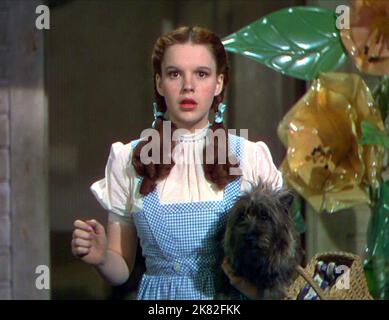 Judy Garland Film: The Wizard of Oz (USA 1939) Charaktere: Dorothy Gale / Titel auch: 'Das Zauberhafte Land' Regie: Victor Fleming 12. August 1939 **WARNUNG** Dieses Foto ist nur für redaktionelle Zwecke bestimmt und unterliegt dem Copyright von MGM und/oder dem von der Film- oder Produktionsfirma beauftragten Fotografen und kann nur durch Publikationen im Zusammenhang mit der Bewerbung des oben genannten Films reproduziert werden. Eine obligatorische Gutschrift an MGM ist erforderlich. Der Fotograf sollte auch bei Bekanntwerden des Fotos gutgeschrieben werden. Ohne schriftliche Genehmigung der Film Company kann keine kommerzielle Nutzung gewährt werden. Stockfoto