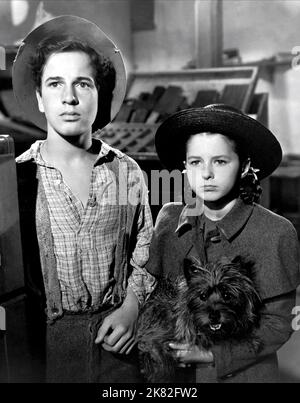 Gene Reynolds & Virginia Weidler Film: Bad Little Angel (USA 1939) Charaktere: Thomas 'Tommy' Wilks, Thomas 'Tommy' Wilks Regie: Wilhelm Thiele 27 October 1939 **WARNUNG** Dieses Foto ist nur für redaktionelle Zwecke bestimmt und unterliegt dem Copyright von MGM und/oder dem von der Film- oder Produktionsfirma beauftragten Fotografen und kann nur durch Publikationen im Zusammenhang mit der Bewerbung des oben genannten Films reproduziert werden. Eine obligatorische Gutschrift an MGM ist erforderlich. Der Fotograf sollte auch bei Bekanntwerden des Fotos gutgeschrieben werden. Ohne schriftliche Genehmigung der Film Company kann keine kommerzielle Nutzung gewährt werden. Stockfoto