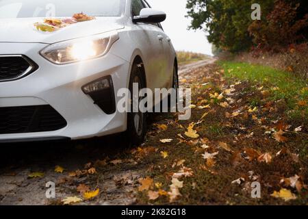 Weißes Auto auf einer unbefestigten Straße, übersät mit gefallenen gelben, orangefarbenen, braunen Blättern, an einem bewölkten Herbsttag im Park. Romantisches Wochenende mit dem Auto Stockfoto