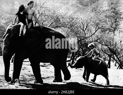 Maureen O'Sullivan, Johnny Weissmuller & Johnny Sheffield Film: Tarzan Finds A Son (USA 1939) Charaktere: Jane Parker, Tarzan, Boy (als John Sheffield) Regie: Richard Thorpe 16 June 1939 **WARNUNG** Dieses Foto ist nur für redaktionelle Zwecke bestimmt und unterliegt dem Copyright von MGM und/oder dem Fotografen, der von der Film- oder Produktionsfirma beauftragt wurde, und kann nur durch Publikationen im Zusammenhang mit der Bewerbung des oben genannten Films reproduziert werden. Eine obligatorische Gutschrift an MGM ist erforderlich. Der Fotograf sollte auch bei Bekanntwerden des Fotos gutgeschrieben werden. Ohne schriftliche Genehmigung der Fil kann keine kommerzielle Nutzung gewährt werden Stockfoto