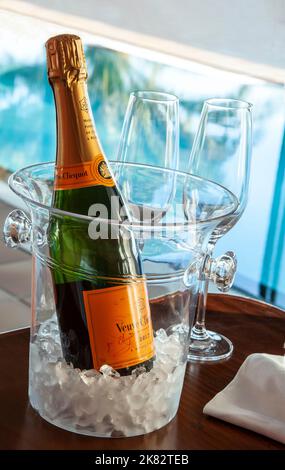 CHAMPAGNER URLAUB LIFESTYLE Veuve Clicquot feine vintage Champagner-Flasche mit Gläsern, auf Eis im Weinkühler, Luxus sonnendurchfluteten Unendlichen Pool dahinter Stockfoto