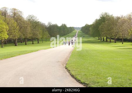 The Long Walk, Windsor Great Park, Windsor, Berkshire, Großbritannien. Der lange Spaziergang führt zum Hintereingang von Windsor Castle. Stockfoto