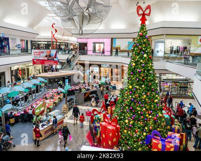 MACEY'S DEPARTMENT STORE INNENRAUM WEIHNACHTEN Weihnachtsbaum mit wunderschön verpackte Geschenke bei Macey's Store Plaza, Pleasanton Kalifornien USA eingerichtet Stockfoto