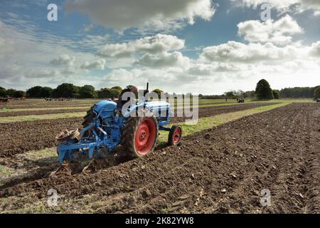 Ein alter blauer Traktor, der im Frühling ein großes Feld pflügt Stockfoto