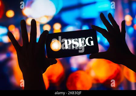 In dieser Abbildung wird das Logo der Public Service Enterprise Group (PSEG) auf einem Smartphone-Bildschirm angezeigt. Stockfoto