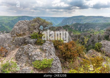 Die Stadt der Steine, innerhalb des Grands Causses Regional Natural Park, denkmalgeschützte Naturstätte mit Dourbie Gorges am unteren Rand. Aveyron, Cevennes, Frankreich. Stockfoto