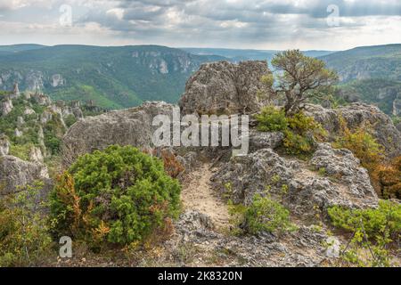 Die Stadt der Steine, innerhalb des Grands Causses Regional Natural Park, denkmalgeschützte Naturstätte mit Dourbie Gorges am unteren Rand. Aveyron, Cevennes, Frankreich. Stockfoto