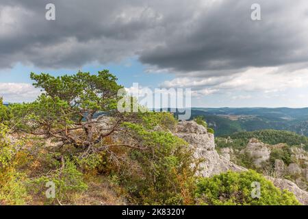 Die Stadt der Steine, innerhalb des Grands Causses Regional Natural Park, denkmalgeschützte Naturstätte mit Dourbie Gorges am unteren Rand. Aveyron, Cevennes, Frankreich. Stockfoto