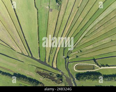 Loosdrecht Erholungswasser Fluss und Wiese ländliches Gras Land grünen Sumpf in schönen Muster kleinen Flüssen und Gewässern in der Natur. Niederlande Stockfoto