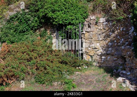 Ein alter Garteneingang, der langsam von der Natur zurückgewonnen wird, über den Ivy schleicht und die Büsche schließen das Tor. Stockfoto