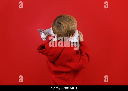 Ein Junge im roten Anzug steht auf rotem Hintergrund, dreht sich den Rücken, hält ein kleines weißes Kätzchen auf seiner Schulter, das sich umsieht Stockfoto