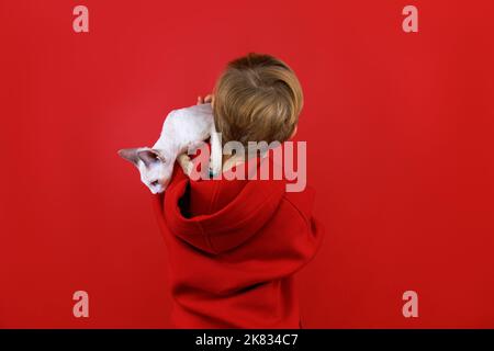 Ein Junge im roten Anzug steht auf rotem Hintergrund, dreht sich den Rücken, hält ein kleines weißes Kätzchen auf seiner Schulter, das sich umsieht Stockfoto