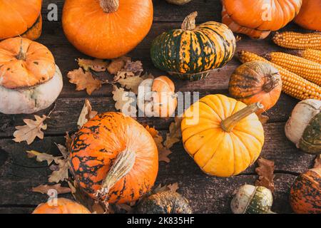 Herbsternte Bunte Kürbisse und Kürbisse in verschiedenen Sorten. Stockfoto