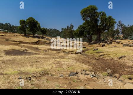 Ländliche Landschaft in der Nähe des Dorfes Kosoye, Äthiopien Stockfoto