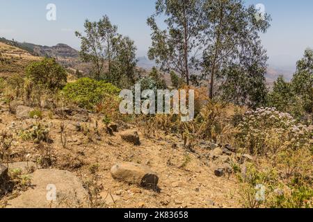 Ländliche Landschaft in der Nähe des Dorfes Kosoye, Äthiopien Stockfoto
