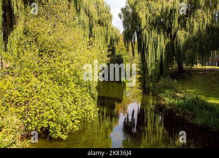 Blick auf den Fluss Welland in Spalding an einem wunderschönen Herbstnachmittag, Lincolnshire, East Midlands, England Stockfoto