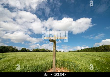 Öffentliches Wegweiser in der Mitte eines grünen Feldes Stockfoto