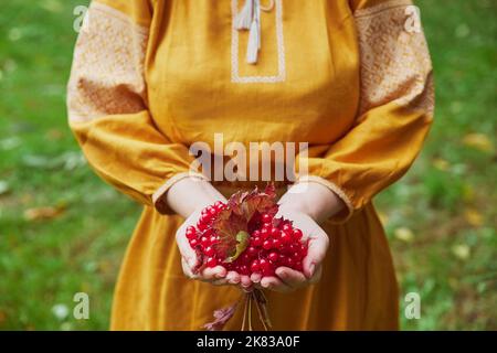 Schöne ukrainische Frau in einem gestickten Kleid mit Viburnum Stockfoto