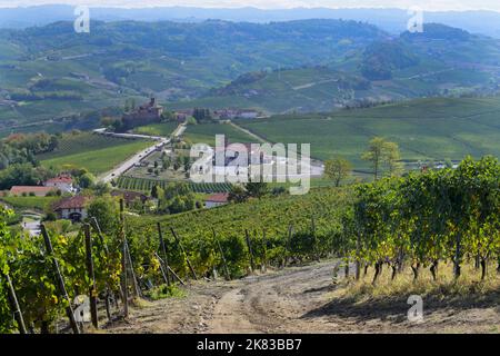 Piemont Weinberge, in der Nähe von Barolo Stockfoto