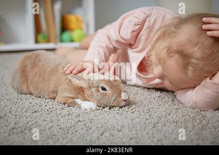 Dekoratives Kaninchen neben dem Mädchen zu Hause auf dem Teppich im Wohnzimmer. Schöne Haustiere Stockfoto