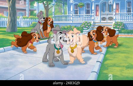 Collette, Tramp, Lady, Scamp, Angel, Annette & Danielle Film: Lady and the Tramp II: Scamp'S Adventure (USA/AUS 2001) Regie: Darrell Rooney & Jeannine Roussel, Regie: Darrell Rooney, J Roussel 18 February 2001 **WARNUNG** Dieses Foto ist nur für den redaktionellen Gebrauch bestimmt und unterliegt dem Copyright von WALT DISNEY BILDERN und/oder dem Fotografen, der von der Film- oder Produktionsfirma beauftragt wurde und darf nur durch Publikationen im Zusammenhang mit der Bewerbung des oben genannten Films reproduziert werden. Eine obligatorische Gutschrift für BILDER VON WALT DISNEY ist erforderlich. Der Fotograf sollte auch bei Bekanntwerden des Fotos gutgeschrieben werden. Keine Kommercia Stockfoto