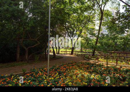 Goiânia, Goias, Brasilien – 18. Oktober 2022: Ein Winkel des Flamboyant Parks mit einem blühenden Garten, Bäumen und viel Grün. Stockfoto