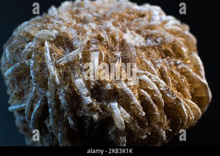 Wüstenrose, Steinrose Gipskristall Cluster auf schwarzer Oberfläche Stockfoto