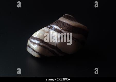 Zebra Jaspis Chalcedon Tumled Stone Makro auf schwarzem Hintergrund isoliert Stockfoto